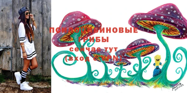 круглые Белокуриха
